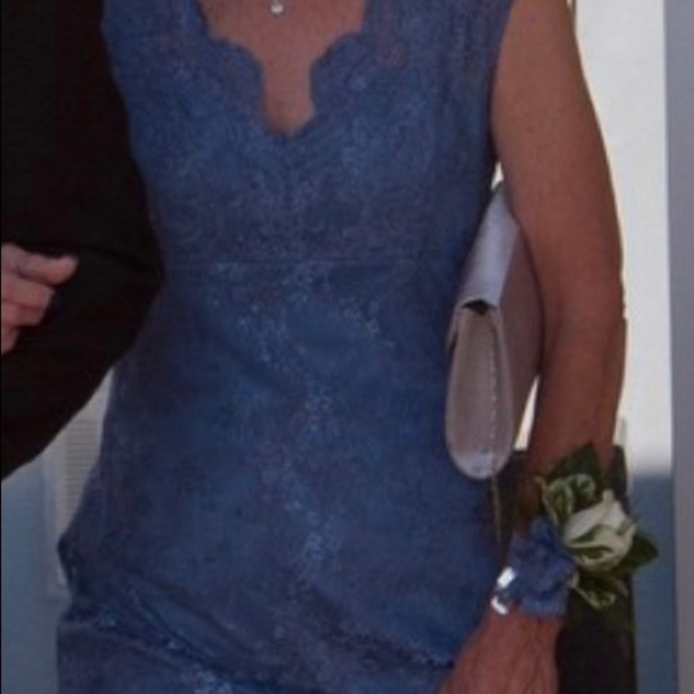 DAVID MEISTER designer lace gown